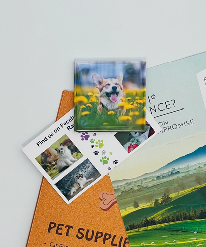 dog square magnet holding brochures