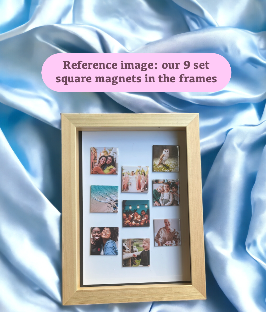 Exclusive Magnet and Frame Set (12 Magnets)